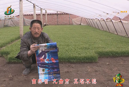 吉林省-九台市-其塔木镇-用户回访视频